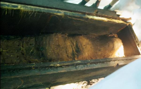 2008年,廣西發現巨型石棺,疑為建文帝之墓,至今依然成謎 2008年,廣西發現巨型石棺,疑為建文帝之墓,至今依然成謎