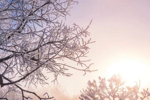 2021的最後一天：用一句詩詞總結你的2021，你會用哪一句？