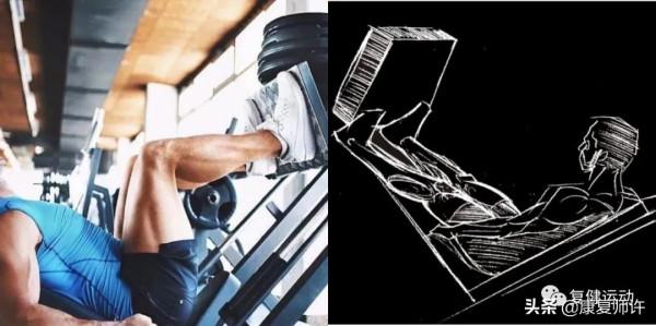 肌筋膜鏈之後錶鏈訓練