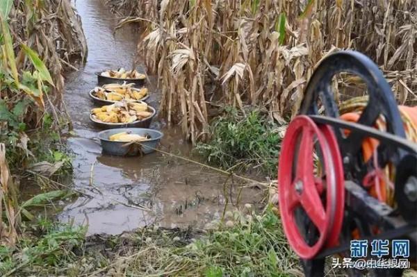 億萬富翁大衣哥深陷泥水中難以自拔