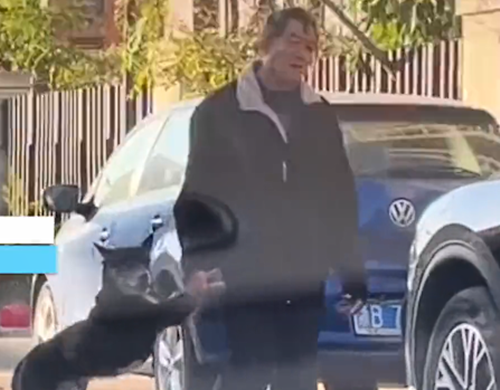 老遠看見老人在帶狗遛彎，湊近看清後卻有些語塞了：真硬核遛狗