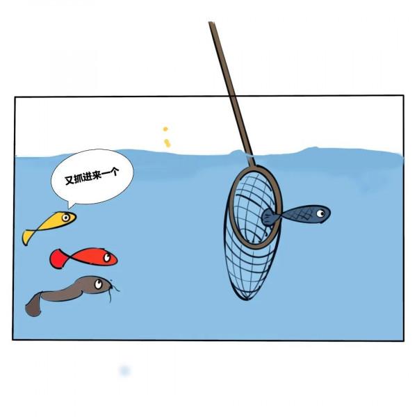 漫畫故事‖雖然我只是一條平凡的鹹魚，但是也向往星辰大海……