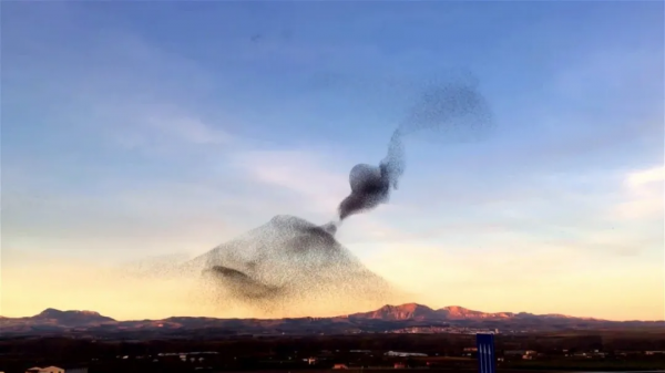 你會成為什麼人，其實早就被計劃好了