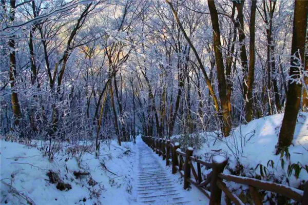 冬已至，一大波美景即將來襲，你準備好get了嗎？