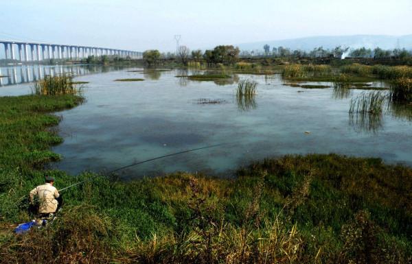 水草中藏著那麼多條魚，學會這三種方法，我就不信魚兒不咬鉤
