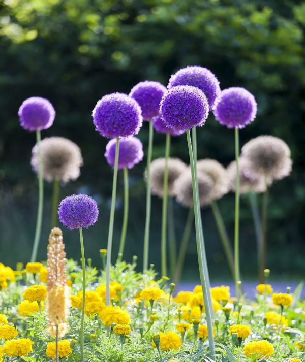 可以不吃但不可以不看