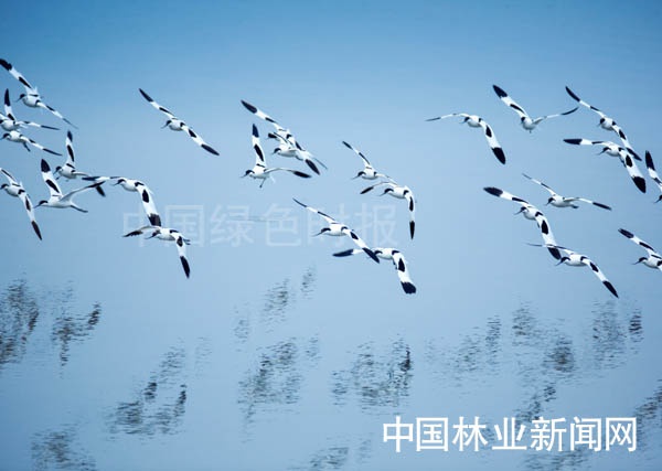 這裡是中國鶴湖升金湖