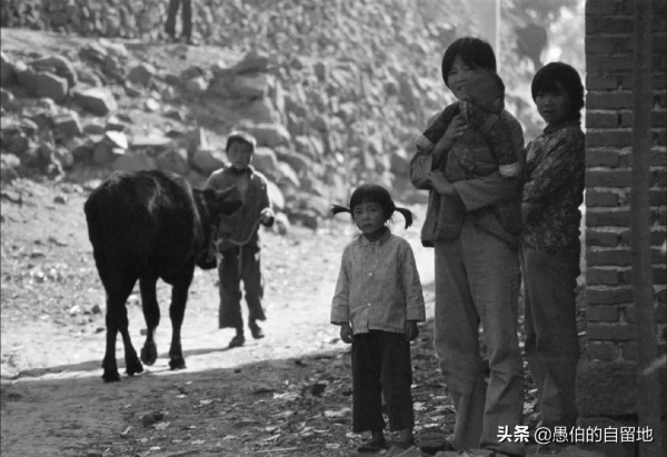 我們是成分高的人家，因母親的睿智，父親躲過了當年的牢獄之災