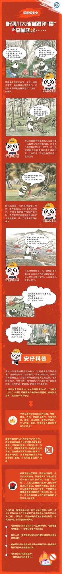 國畫說安全 聽四川大熊貓跟你&OpenCurlyDoubleQuote;擺&rdquo;森林防火