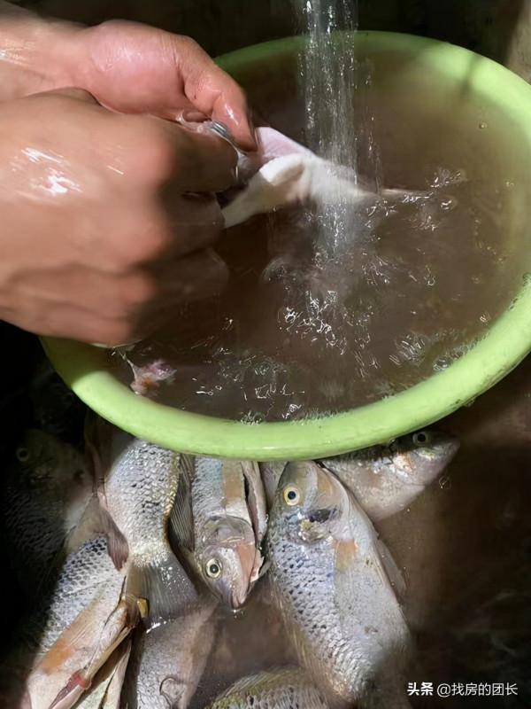 你是否懷念兒時釣魚的時光,裝備簡單,反而能釣到很多魚 你是否懷念兒時釣魚的時光,裝備簡單,反而能釣到很多魚