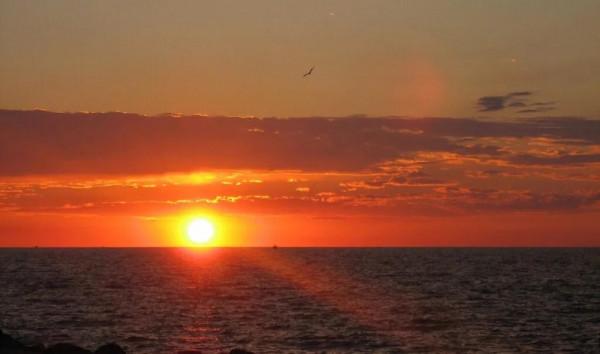 低調不張揚,習慣隱藏自己得星座:我頭腦,有實力,卻不露鋒芒 低調不張揚,習慣隱藏自己得星座:我頭腦,有實力,卻不露鋒芒