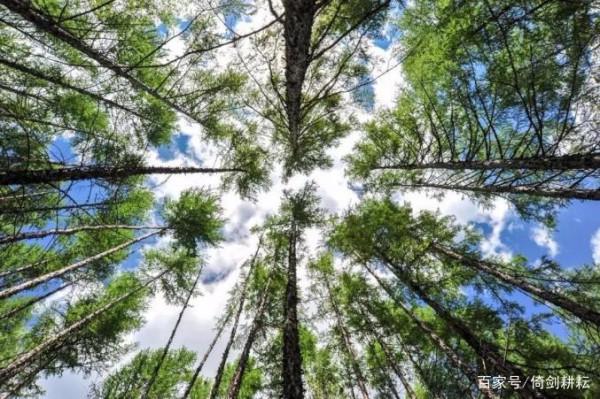 房價最低的30個城市,東北佔14城,不乏景美、物價低的宜居小城 房價最低的30個城市,東北佔14城,不乏景美、物價低的宜居小城