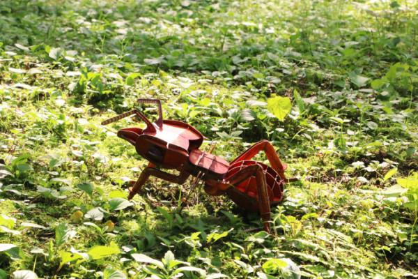 穿過密林，渡過小溪，美洲雨林兄弟的叢林好奇之旅