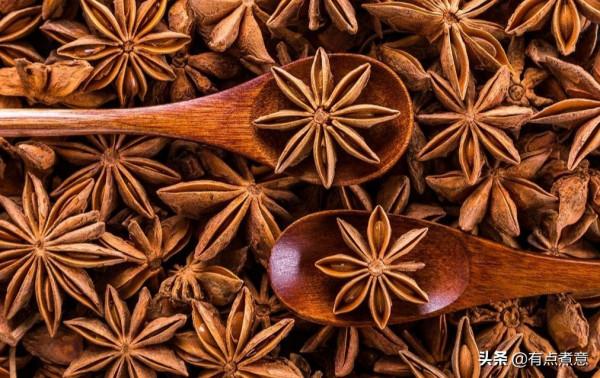 12種常見香料怎麼用？一次性告訴你！還有滷料配方，滷啥都香