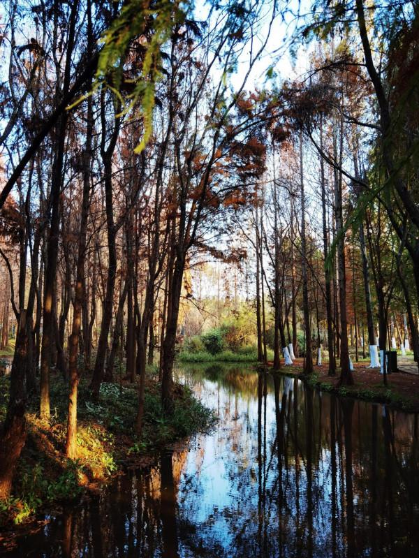 滇池觀落日 滇池觀落日
