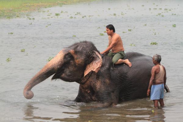 全世界60個國家的珍稀國寶