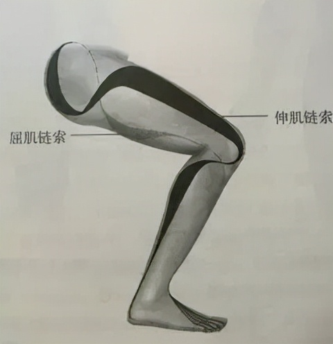 足跟痛——從原理到治療 足跟痛——從原理到治療