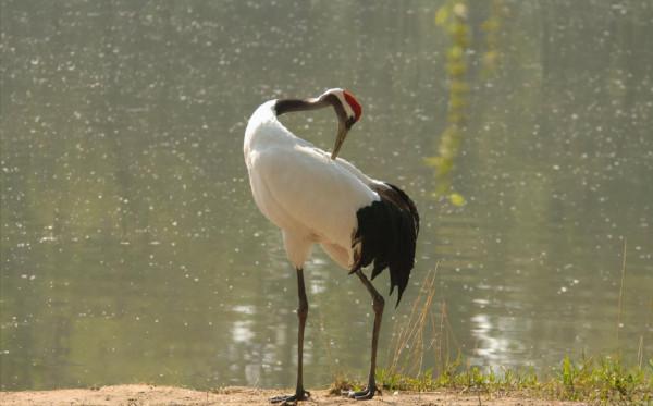 民間故事:韓勝嫁妹 民間故事:韓勝嫁妹