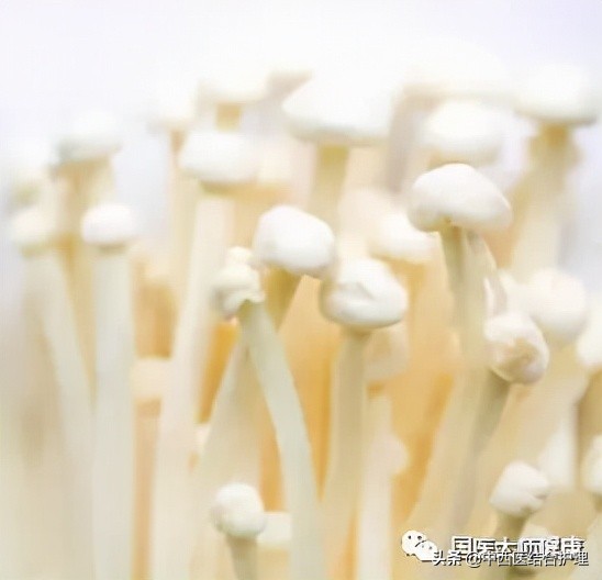 「飲食養生」提高身體免疫力的好東西,冬季吃正合適 「飲食養生」提高身體免疫力的好東西,冬季吃正合適