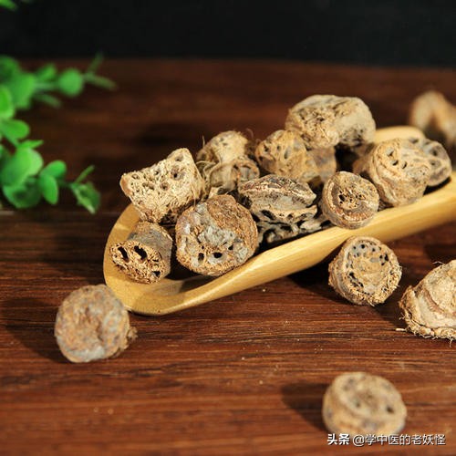 每天學習一味中藥——藕節