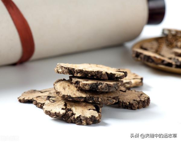 耳鳴,耳聾?送你三味中藥,理氣活血,暢通耳竅,不來了解下嗎 耳鳴,耳聾?送你三味中藥,理氣活血,暢通耳竅,不來了解下嗎