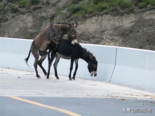 徒步西藏第32天:巴塘的袁姐與王叔 徒步西藏第32天:巴塘的袁姐與王叔