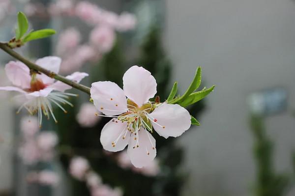 福，在心不在物；命，在人不在天