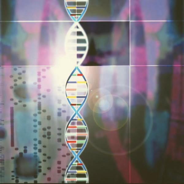 肖恩·卡羅爾《大圖景》| 生命的“正確”定義真的存在嗎? 肖恩·卡羅爾《大圖景》| 生命的“正確”定義真的存在嗎?