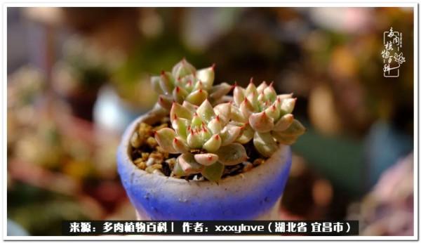 時光匆匆，一閃而逝，這世間萬物的美，都值得被記錄