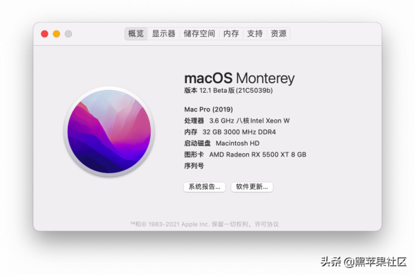 macOS Monterey 12.1Beta4OC 0.7.5 / Cl 5142 / PE 三分割槽原版黑蘋果映象