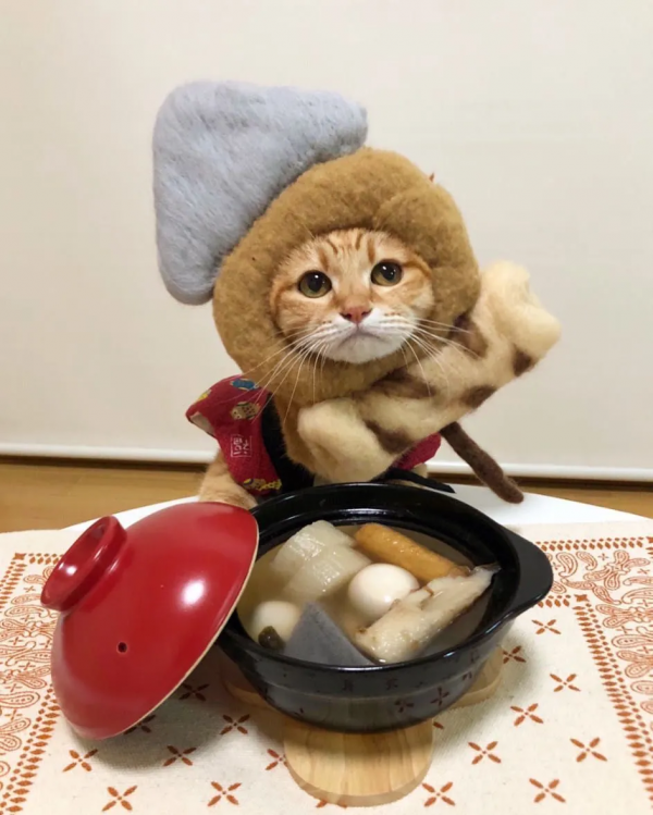 日本一鏟屎官把貓咪打扮成食物！網友：太可愛了！忍不住想吃掉