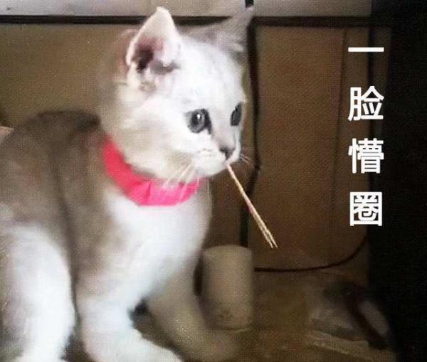 標價1500的羽絨服成本只有75，難道你是第一次知道這樣的事嗎？
