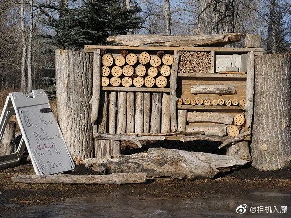 來自Dpreview的OM-1樣張