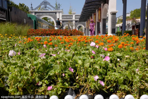 免費！這些公園低調卻各有特色，還有綠皮火車！