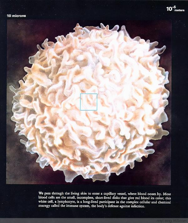 用幾張圖看透世界,震撼心靈,感悟人生 用幾張圖看透世界,震撼心靈,感悟人生