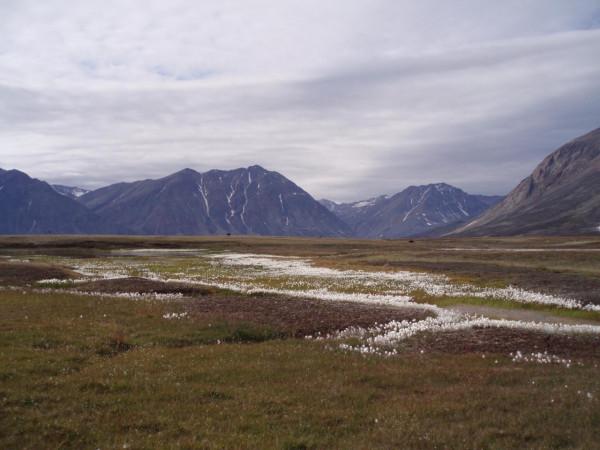 世界第一大國家公園：面積近百萬平方公里，相當於9個浙江那麼大