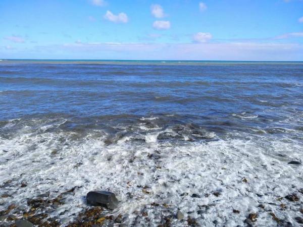 見過鮑魚海灘嗎