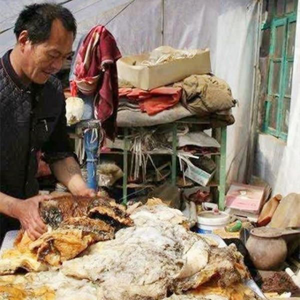 6年前,那個撿到太歲一夜暴富的遼寧農民王承德,後來創業去了 6年前,那個撿到太歲一夜暴富的遼寧農民王承德,後來創業去了