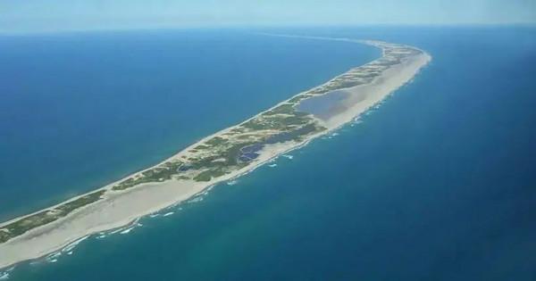 獨守死亡之島50年，與野生動物為伴，71歲老人今夏感動戛納