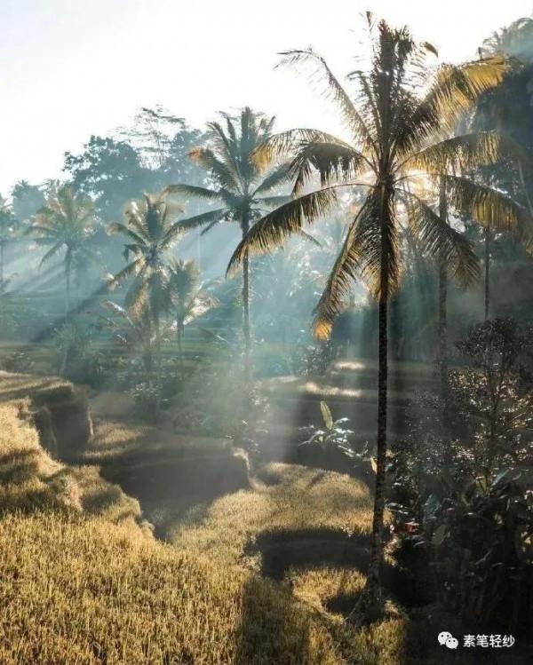 你好，2月18日｜願你一路驚喜，滿載而歸