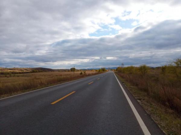 滿目金黃，又想壩上草原了（二）