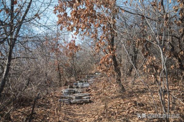 北京徒步登山：房山藥王谷環穿，三水步道泗馬溝段，灌木叢段太野