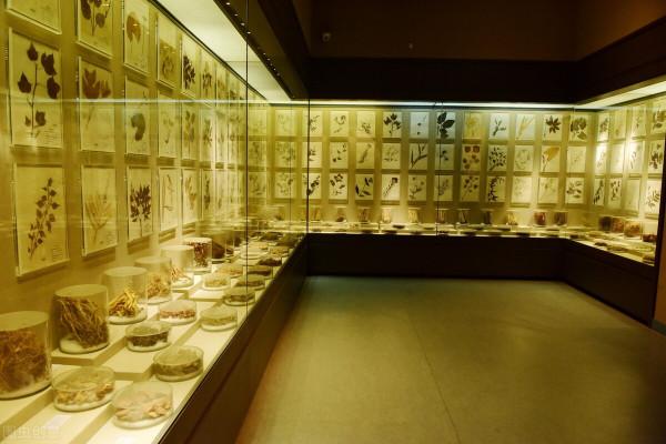 拍打腋窩、肘窩有什麼用？原來源自這裡