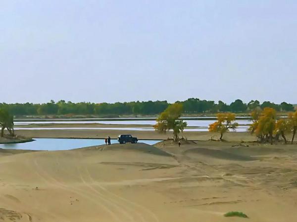 胡楊林，數不盡的人間美景