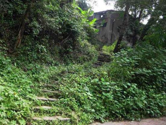 寶釵前世之迷：藤精草怪全靠石頭滋養，人沒修好就妄想做神