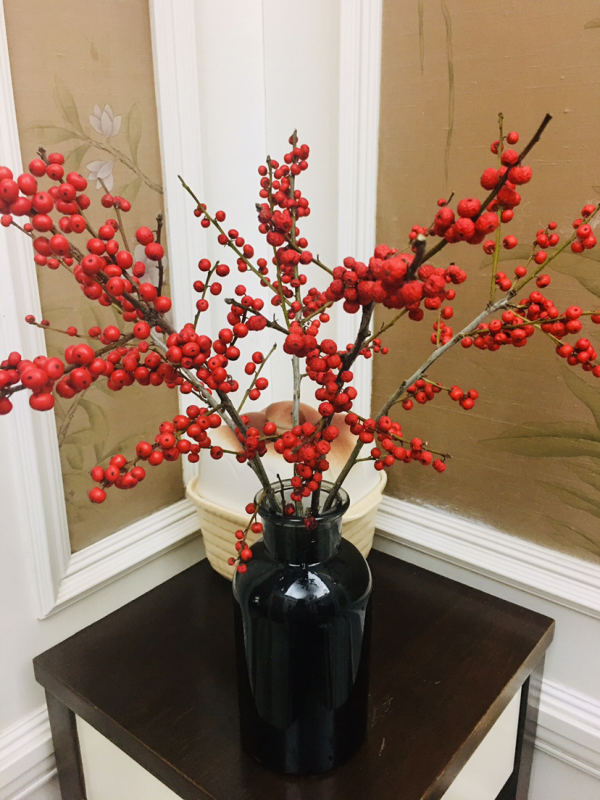 “一支冬青,紅火過年”,北美冬青為何是花中“愛馬仕” “一支冬青,紅火過年”,北美冬青為何是花中“愛馬仕”