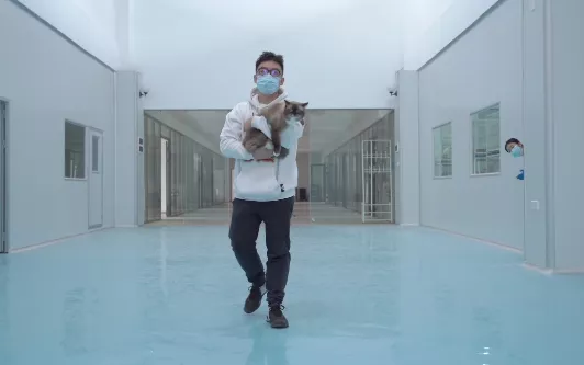 國產貓糧自建工廠和實驗室,經過實驗證明能美毛和幫助消化 國產貓糧自建工廠和實驗室,經過實驗證明能美毛和幫助消化