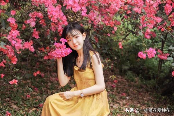 6種北方不適合養的花卉，環境、技術不到位容易死