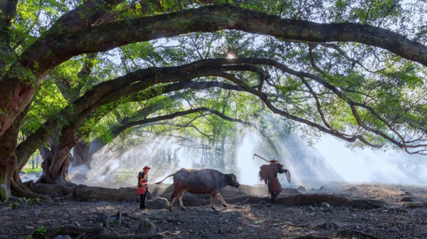 10個藏在深山不為人知的古村落，竟是絕美的“世外桃源”