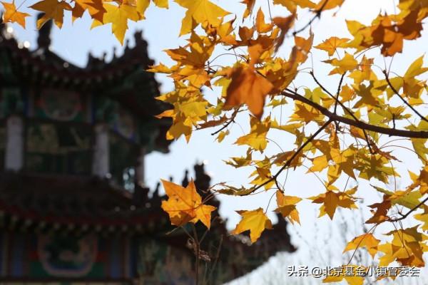 秋日特輯 | 賞不盡的小鎮秋色